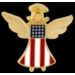 USA GUARDIAN ANGEL PIN